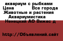 аквариум с рыбками › Цена ­ 1 000 - Все города Животные и растения » Аквариумистика   . Ненецкий АО,Вижас д.